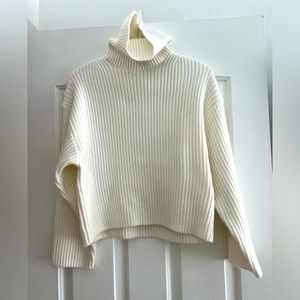 H&M Crop Turtleneck